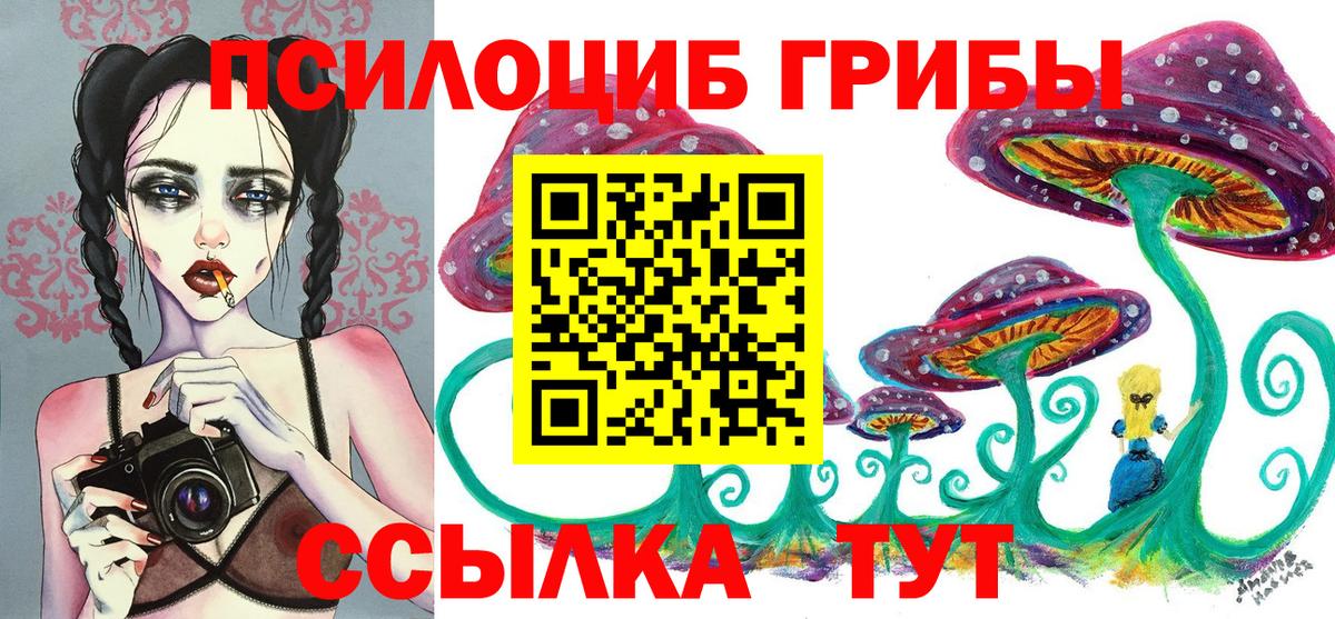 где купить наркоту  Галлюциногенные грибы MAGIC MUSHROOMS  Вход с VPN  Урус-Мартан 