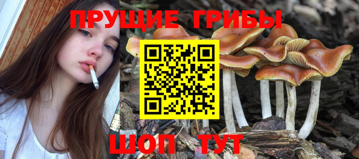 Псилоцибиновые грибы мухоморы Урус-Мартан